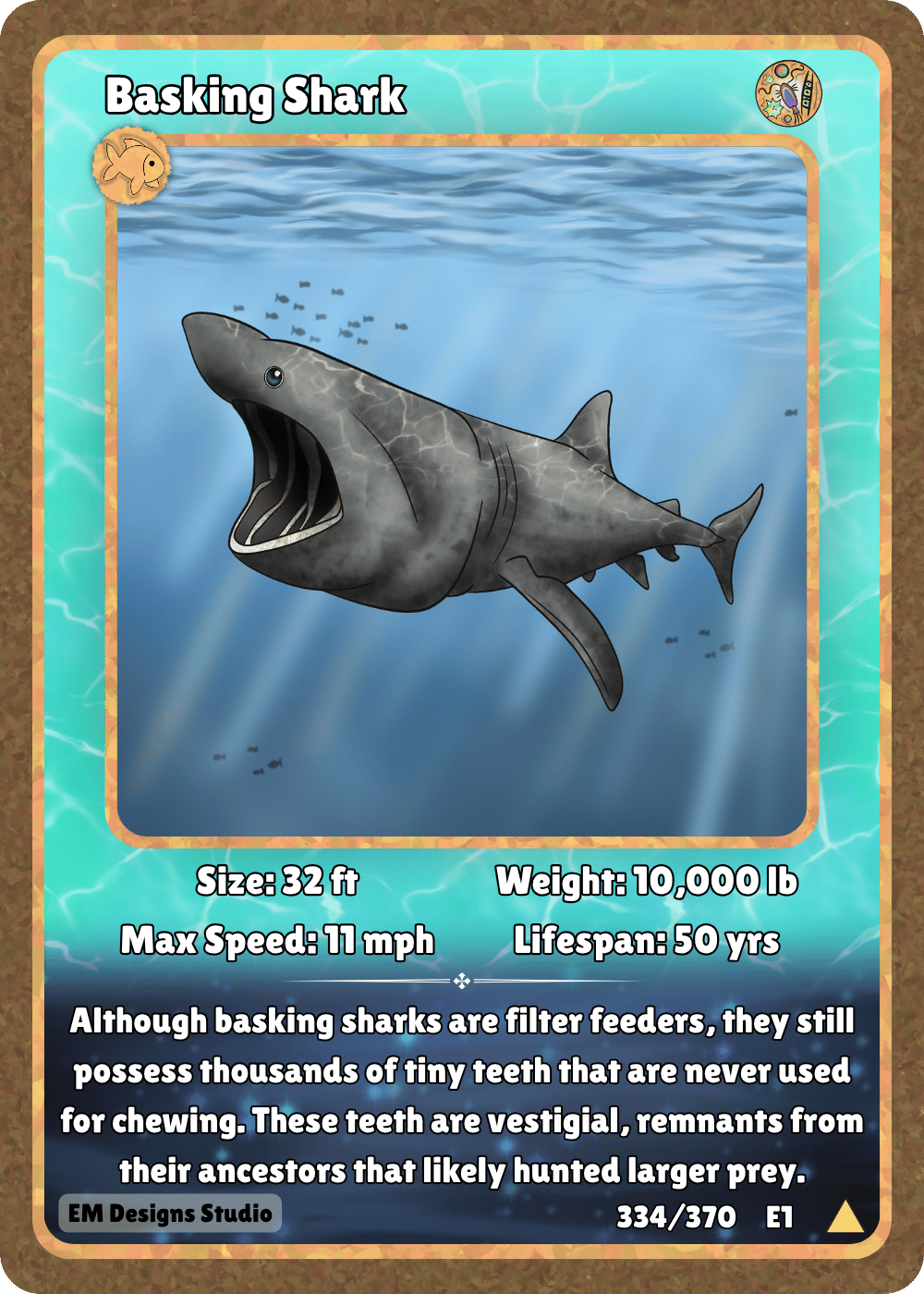 Basking Shark.png