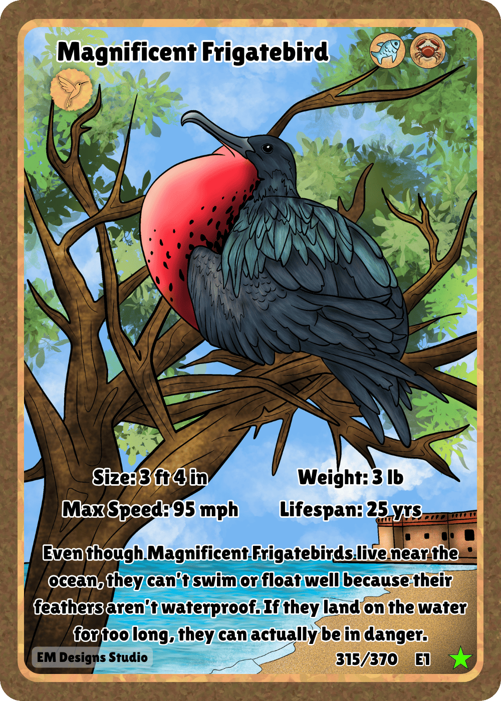 Magnificent Frigatebird Full Art.png