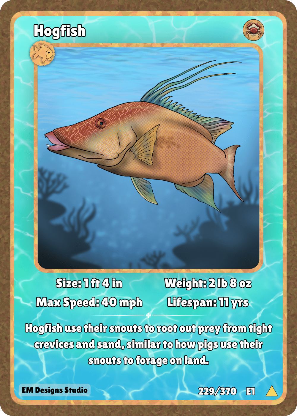 Hogfish.png