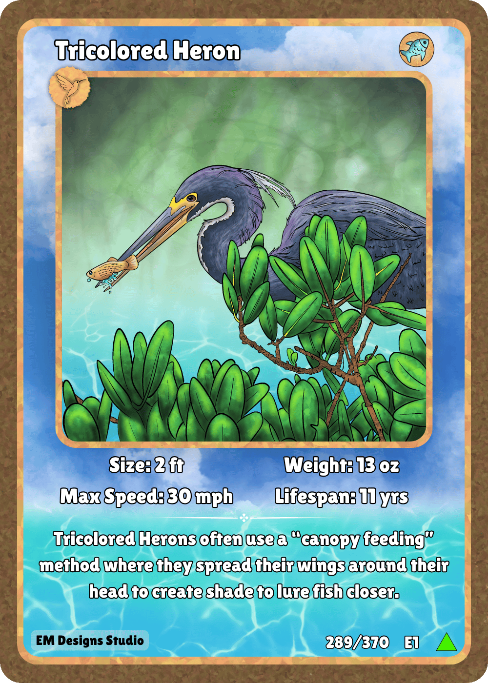 Tricolored Heron.png