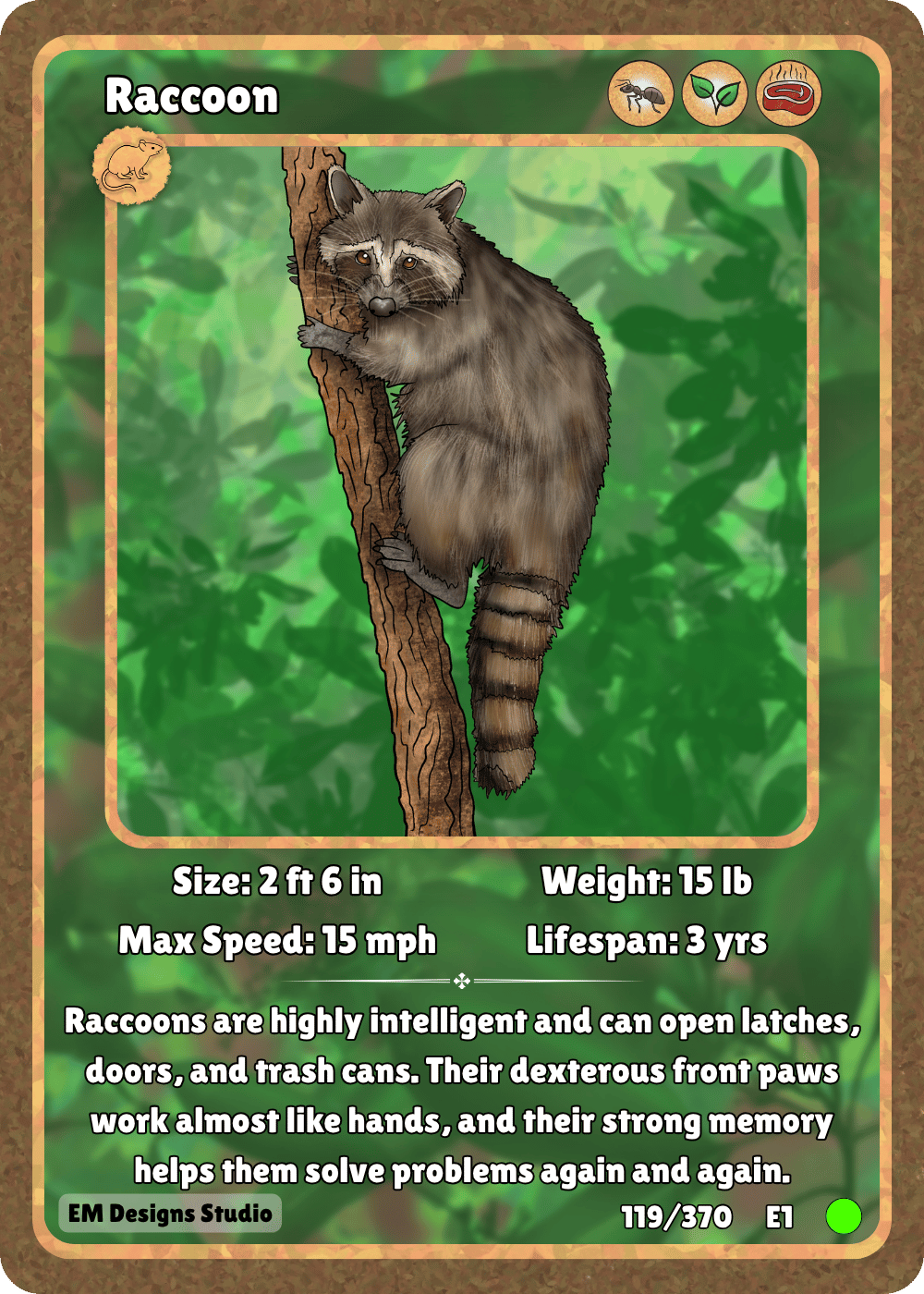 Raccoon.png