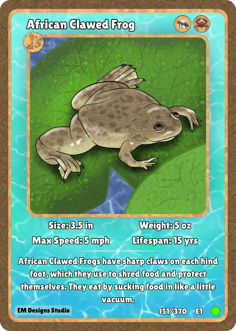 African Clawed Frog.png