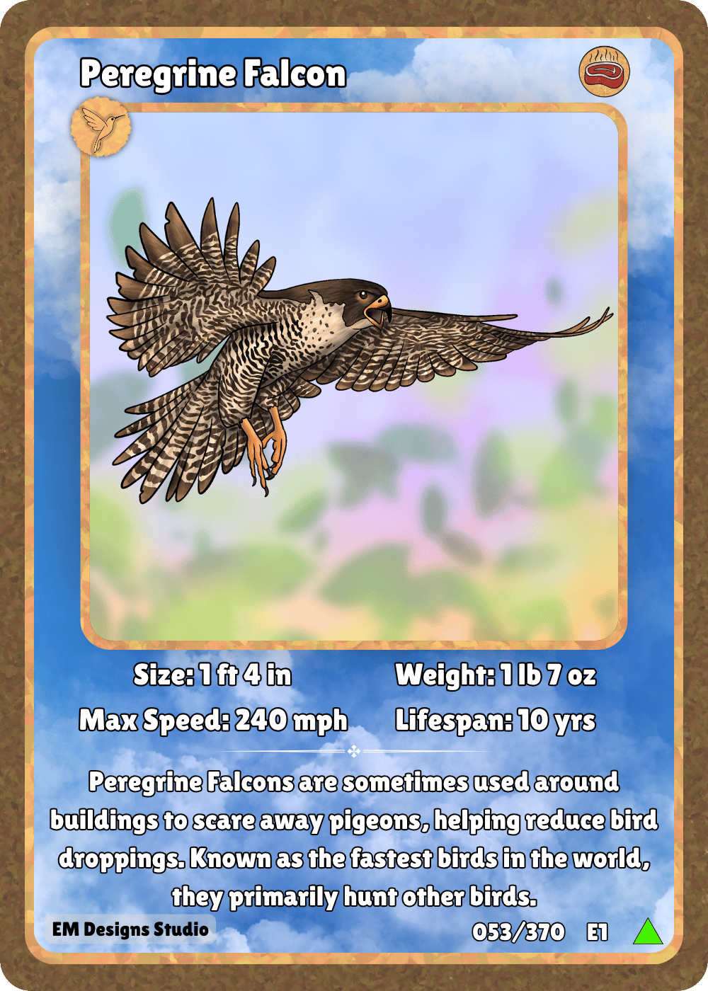 Peregrine Falcon.png