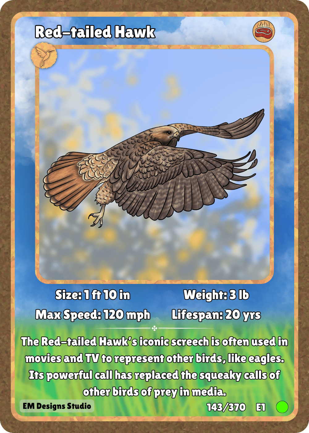 Red-tailed Hawk.png