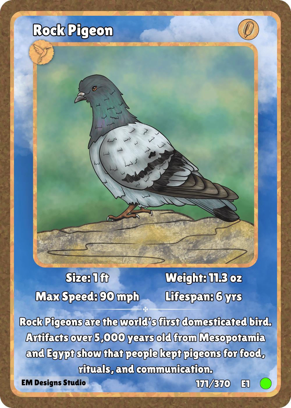 Rock Pigeon.png