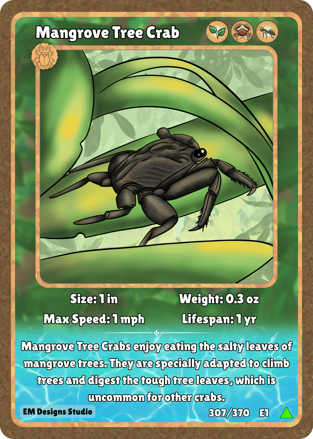 Mangrove Tree Crab.png