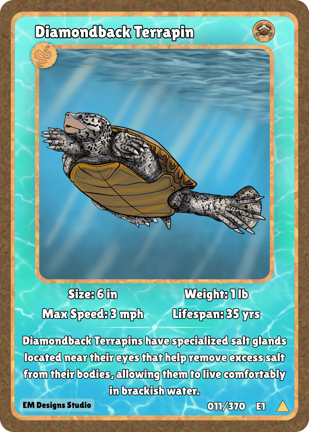 Diamondback Terrapin.png