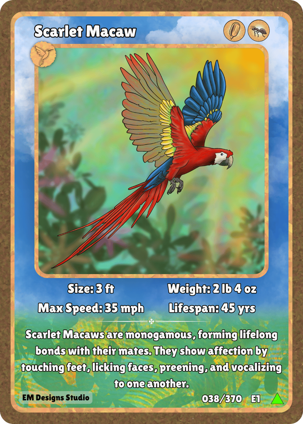 Scarlet Macaw.png