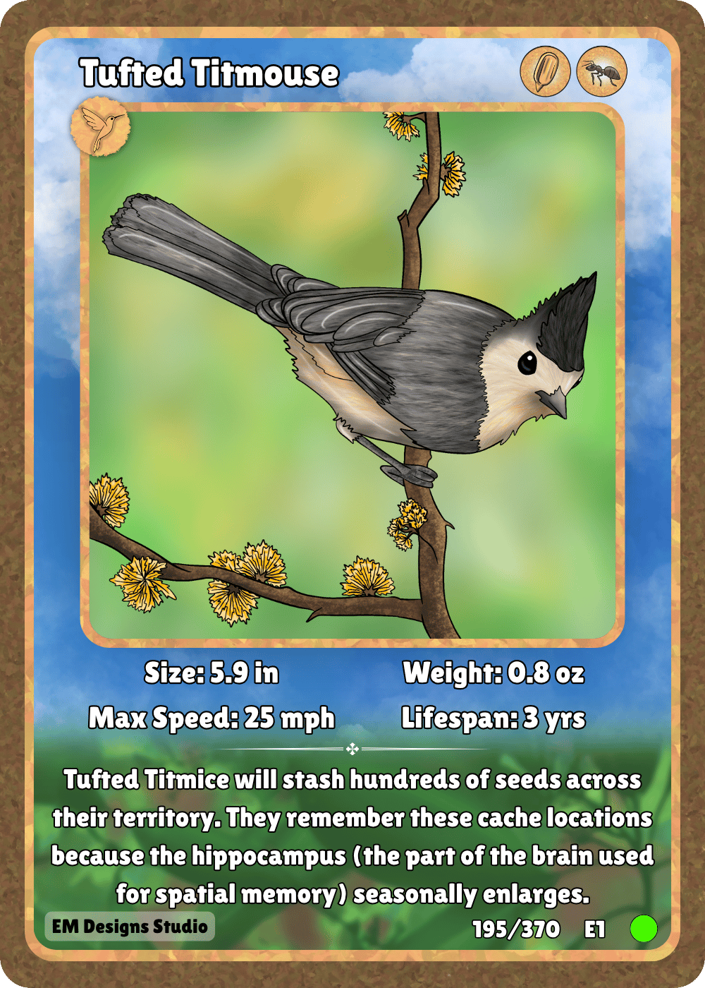 Tufted Titmouse.png