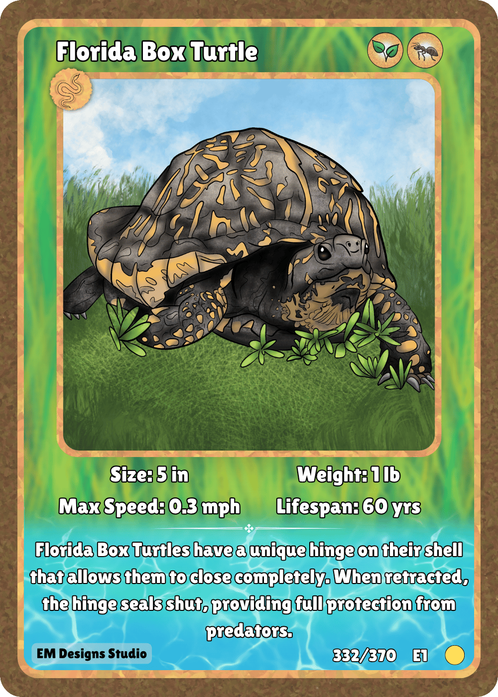 Florida Box Turtle.png