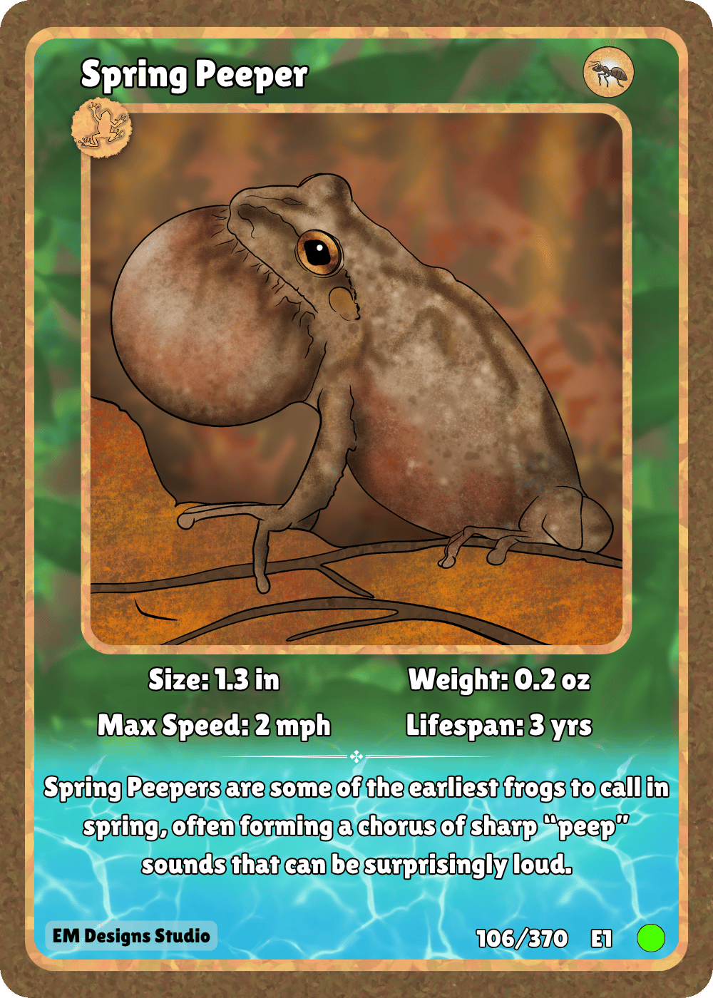 Spring Peeper.png