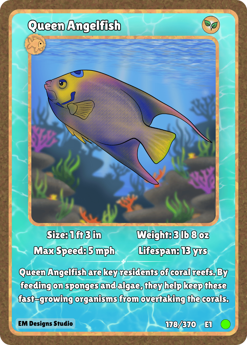 Queen Angelfish.png