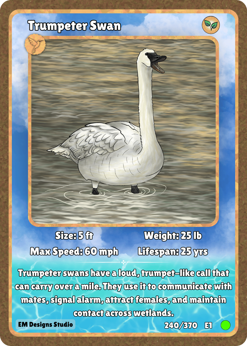 Trumpeter Swan.png