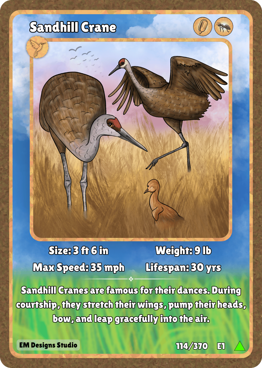Sandhill Crane.png