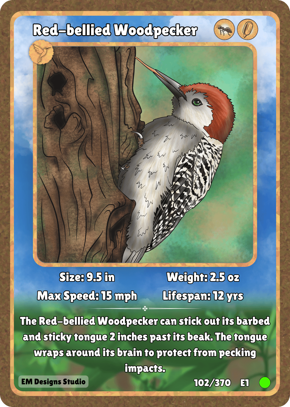 Red-bellied Woodpecker.png