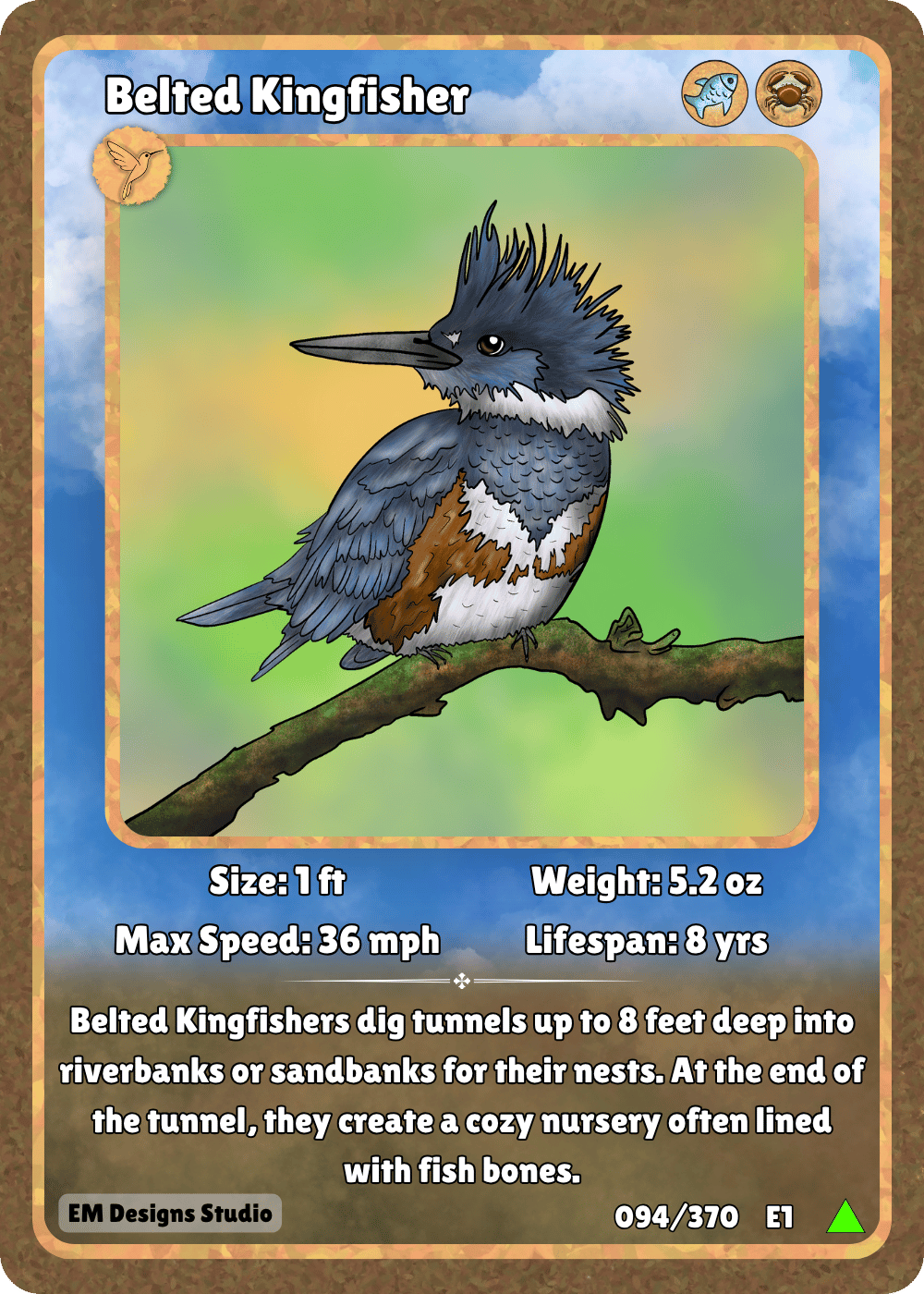 Belted Kingfisher.png