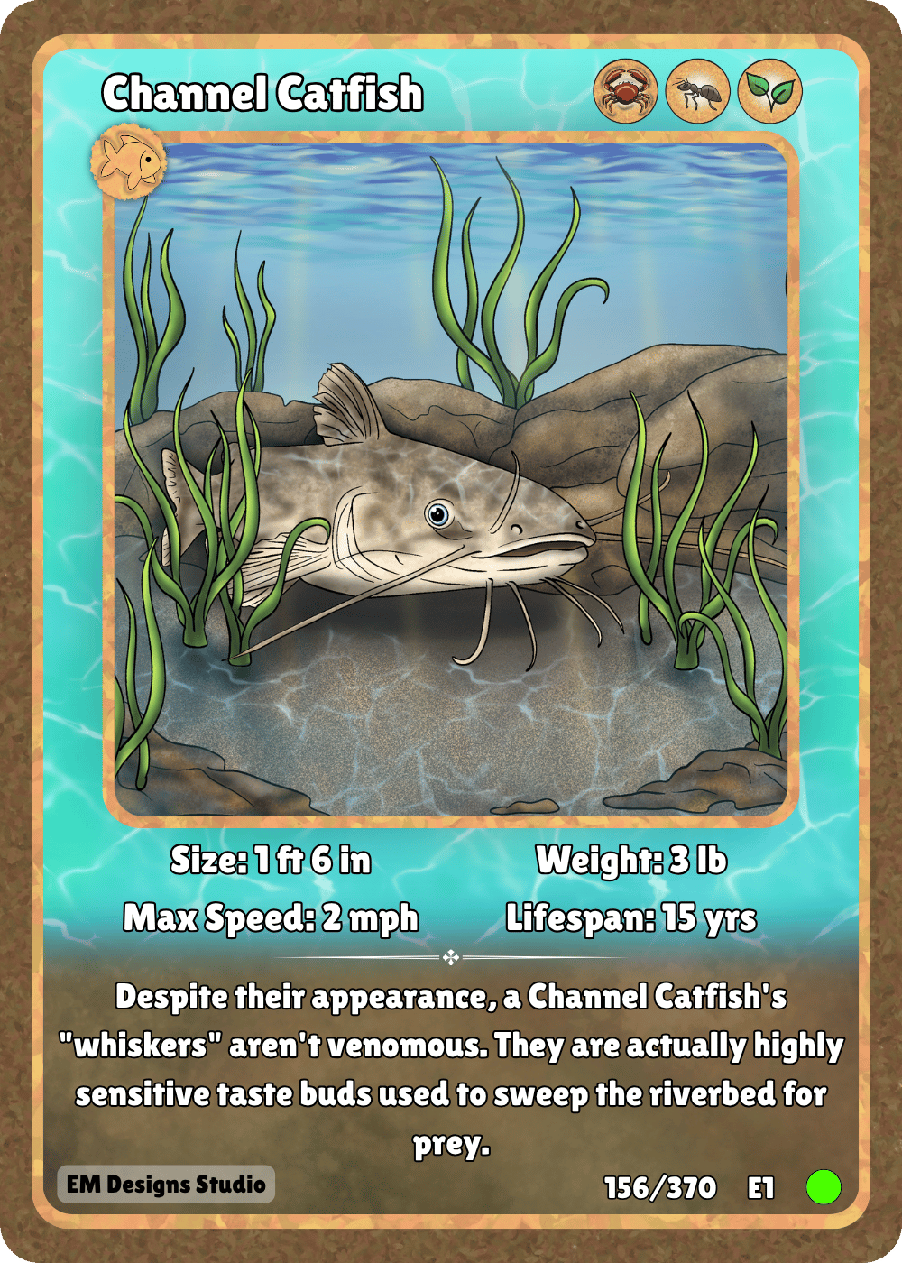 Channel Catfish.png