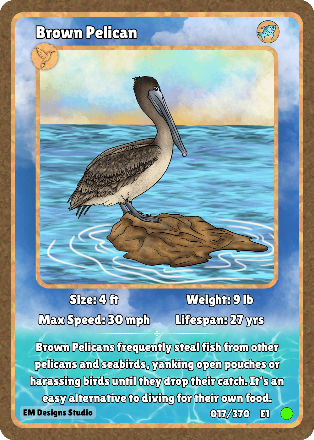 Brown Pelican.png