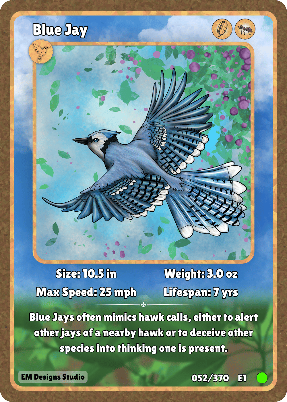 Blue Jay.png