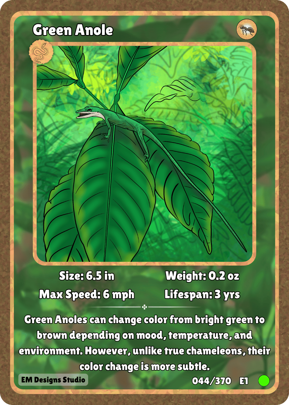 Green Anole.png