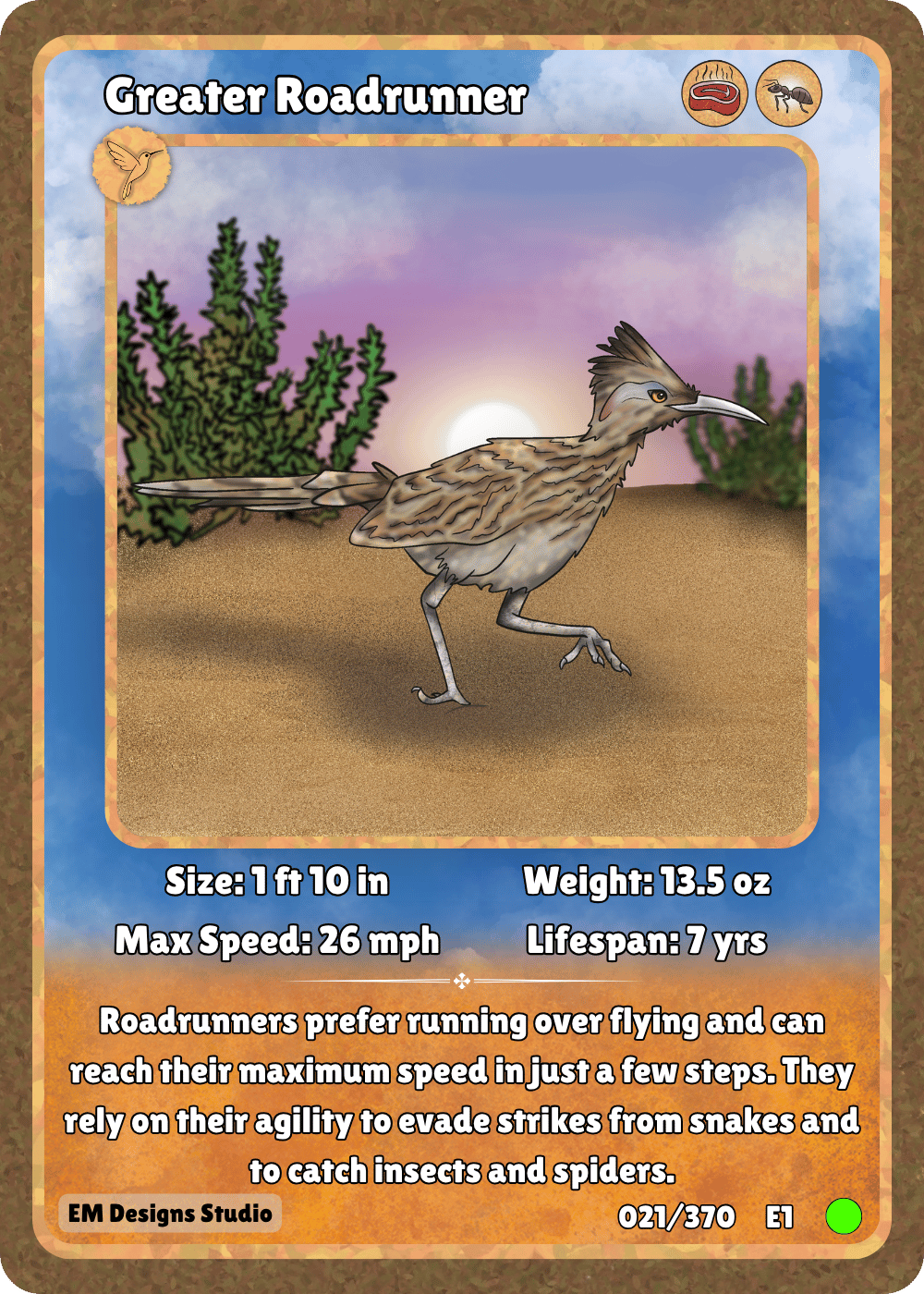 Greater Roadrunner.png