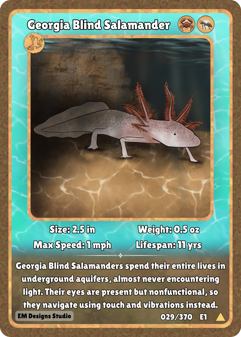 Georgia Blind Salamander.png
