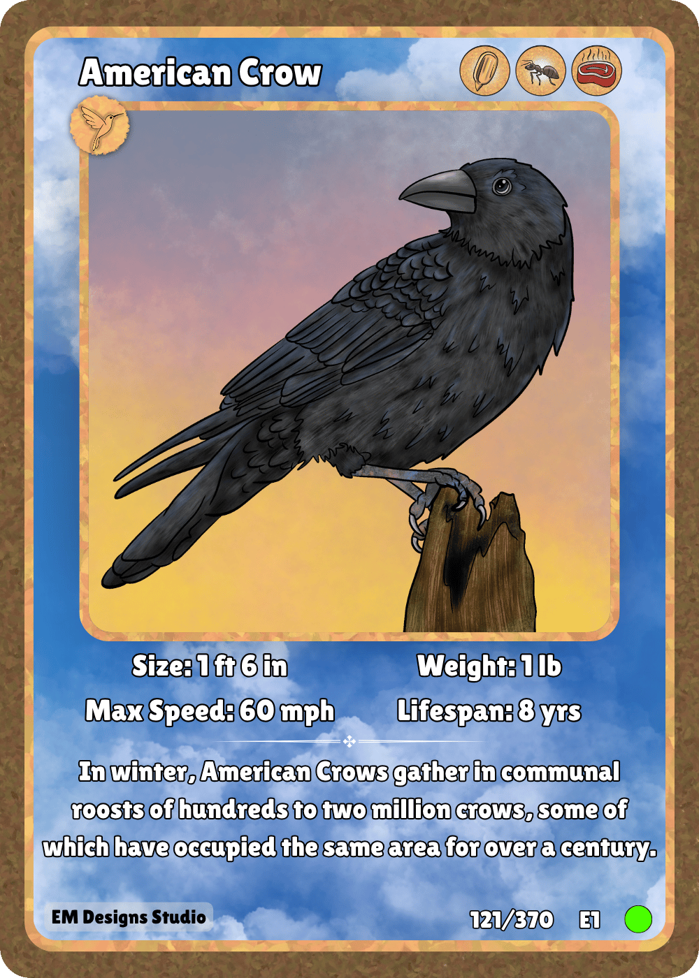 American Crow.png