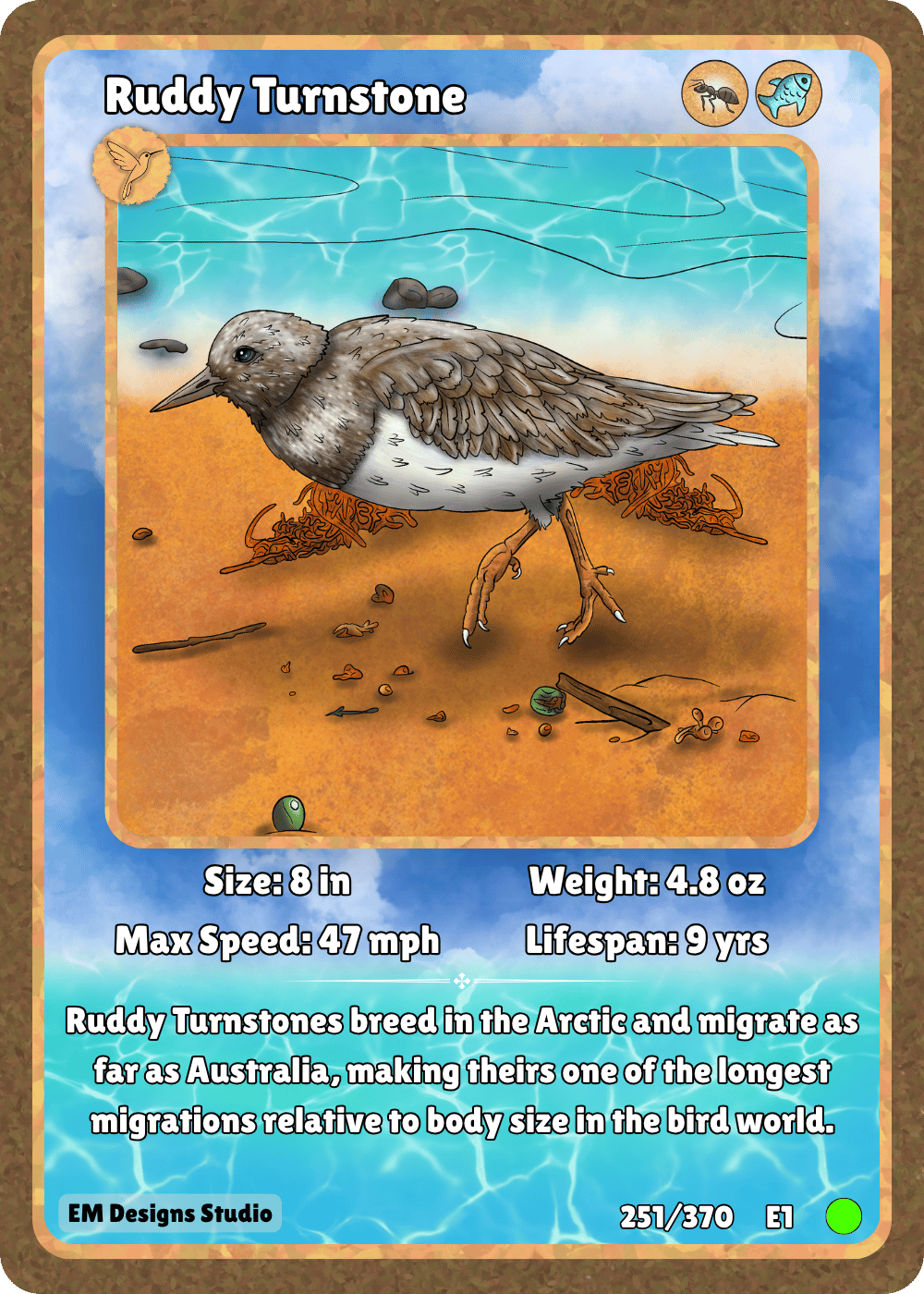 Ruddy Turnstone.png