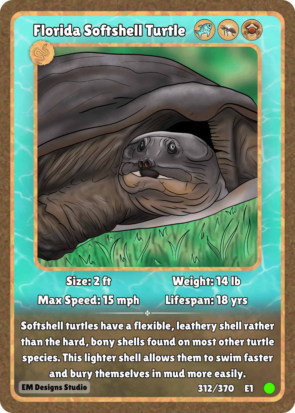 Florida Softshell Turtle.png