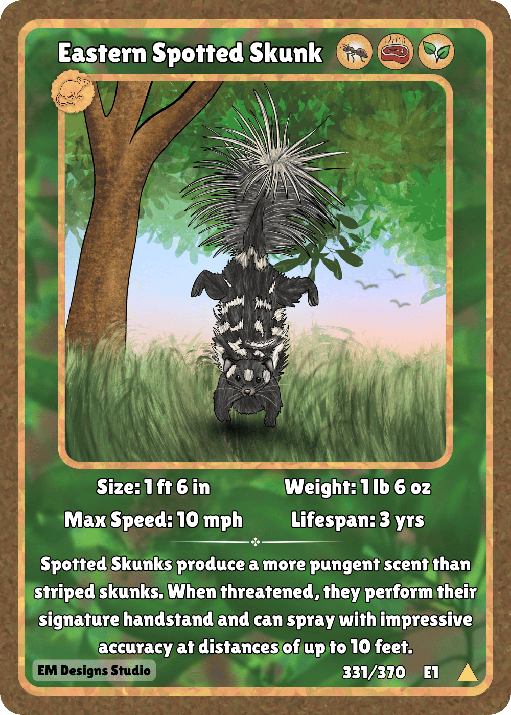 Eastern Spotted Skunk.png