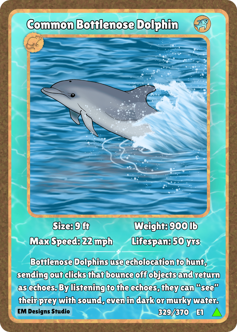 Common Bottlenose Dolphin.png