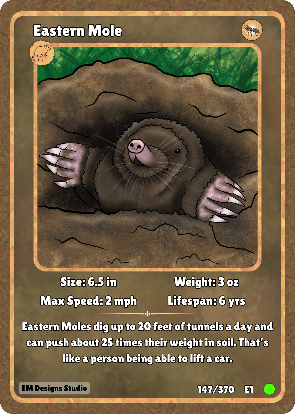 Eastern Mole.png