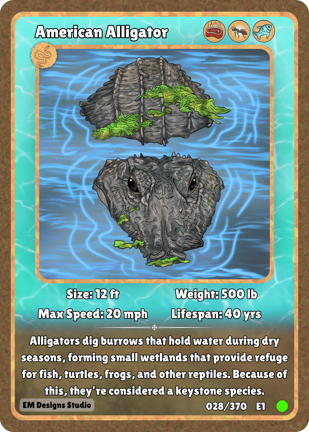 American Alligator.png
