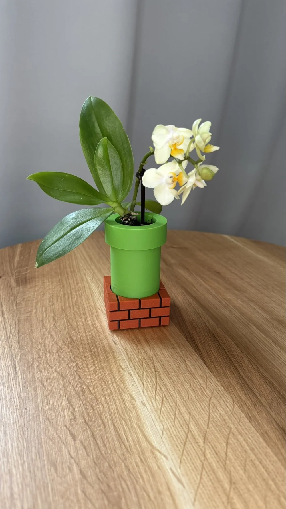 3D Tisk - květináček ve stylu super mario