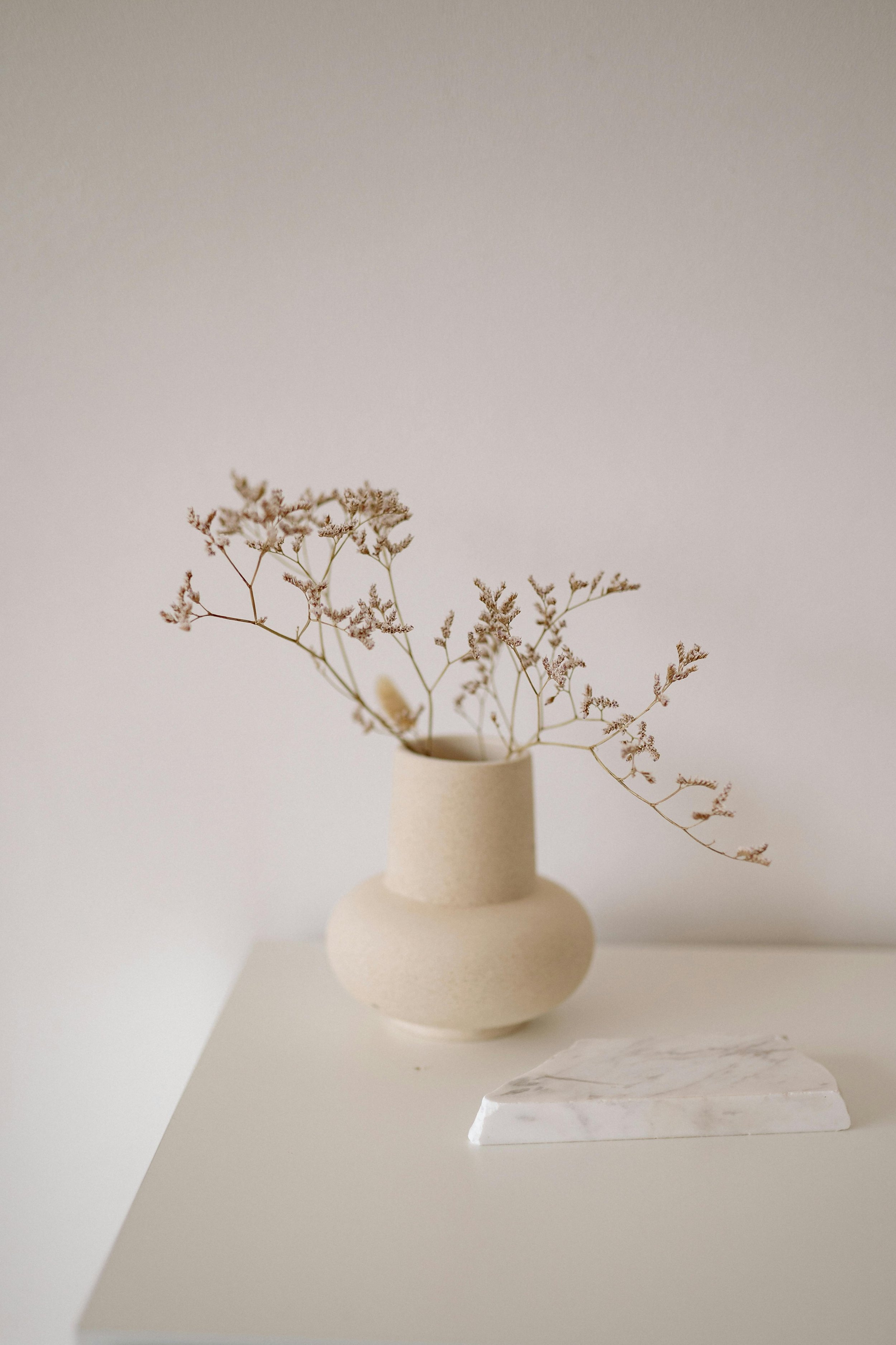 Minimalist beige vase with delicate dried flowers on a white surface with a light background.