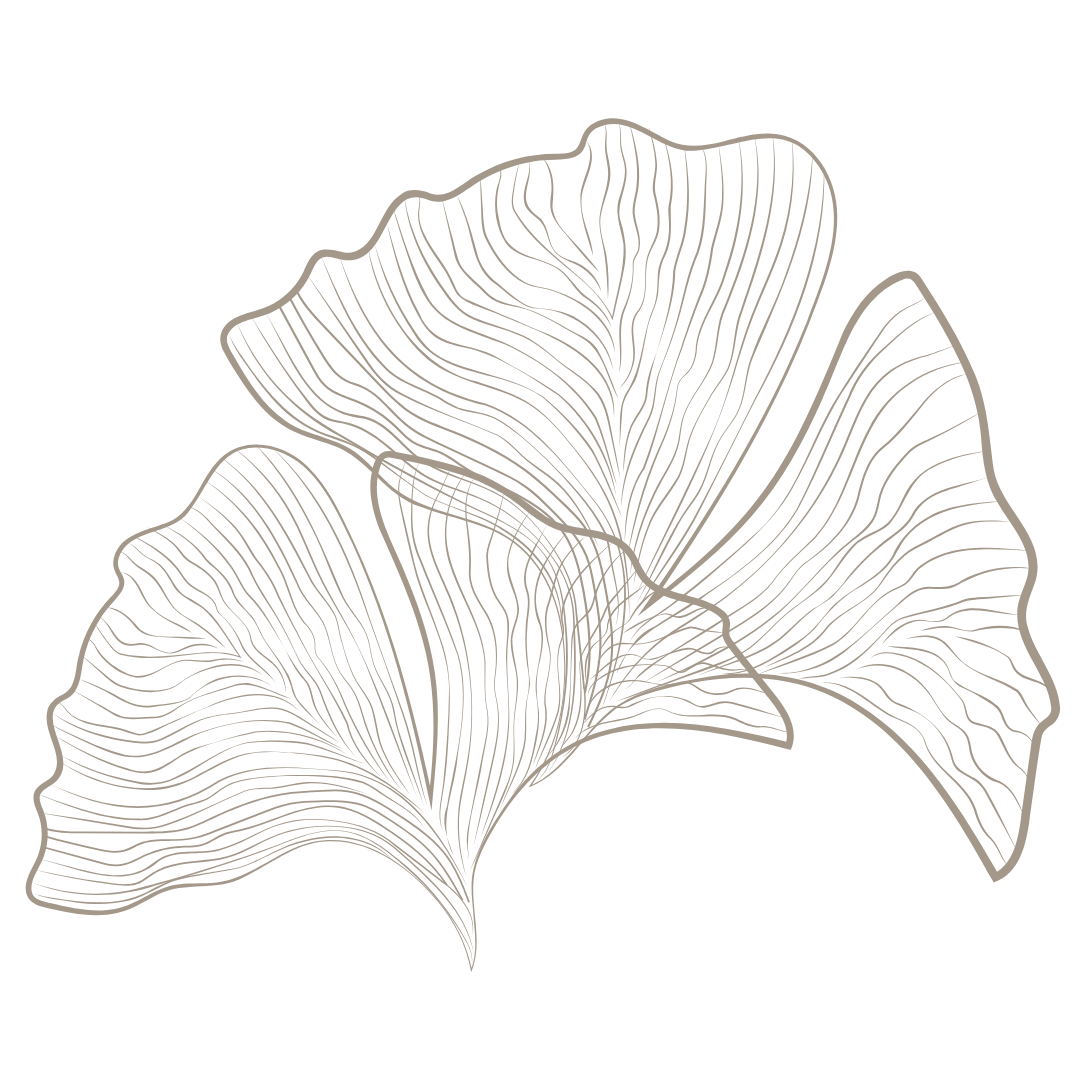 Line drawing of three ginkgo leaves on black background.