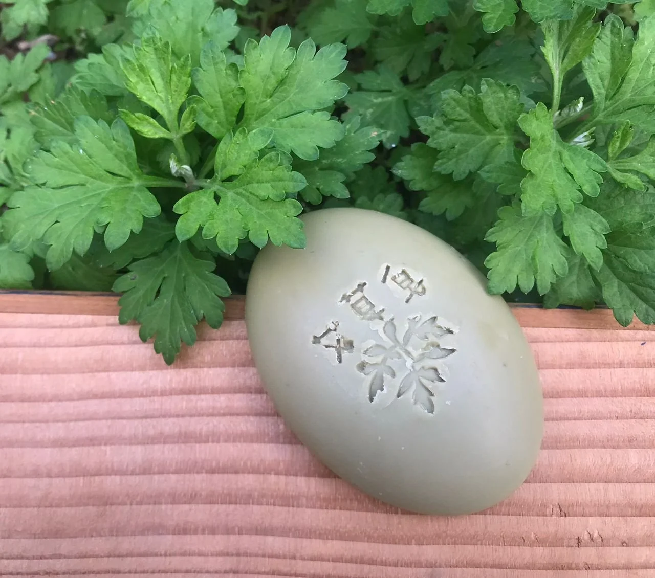 A carved stone with a flower design and symbols, placed on wooden surface with green leafy plants in the background.