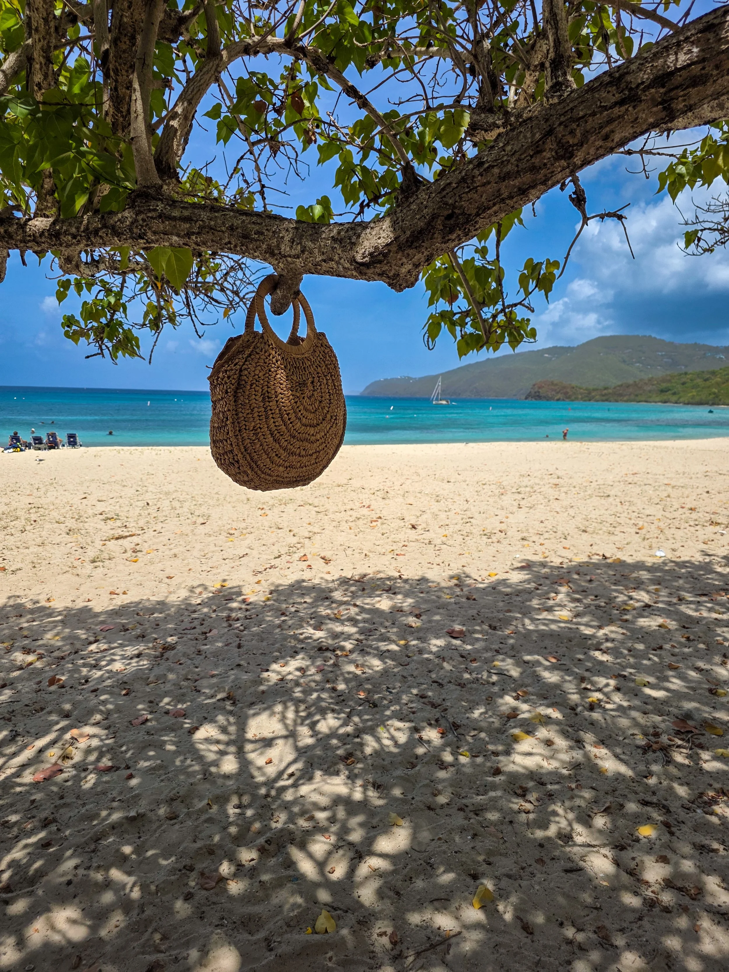 Grab a spot in the shade hang up the purse and snorkel with the turtles at Brewers Beach St. Thomas USVI.