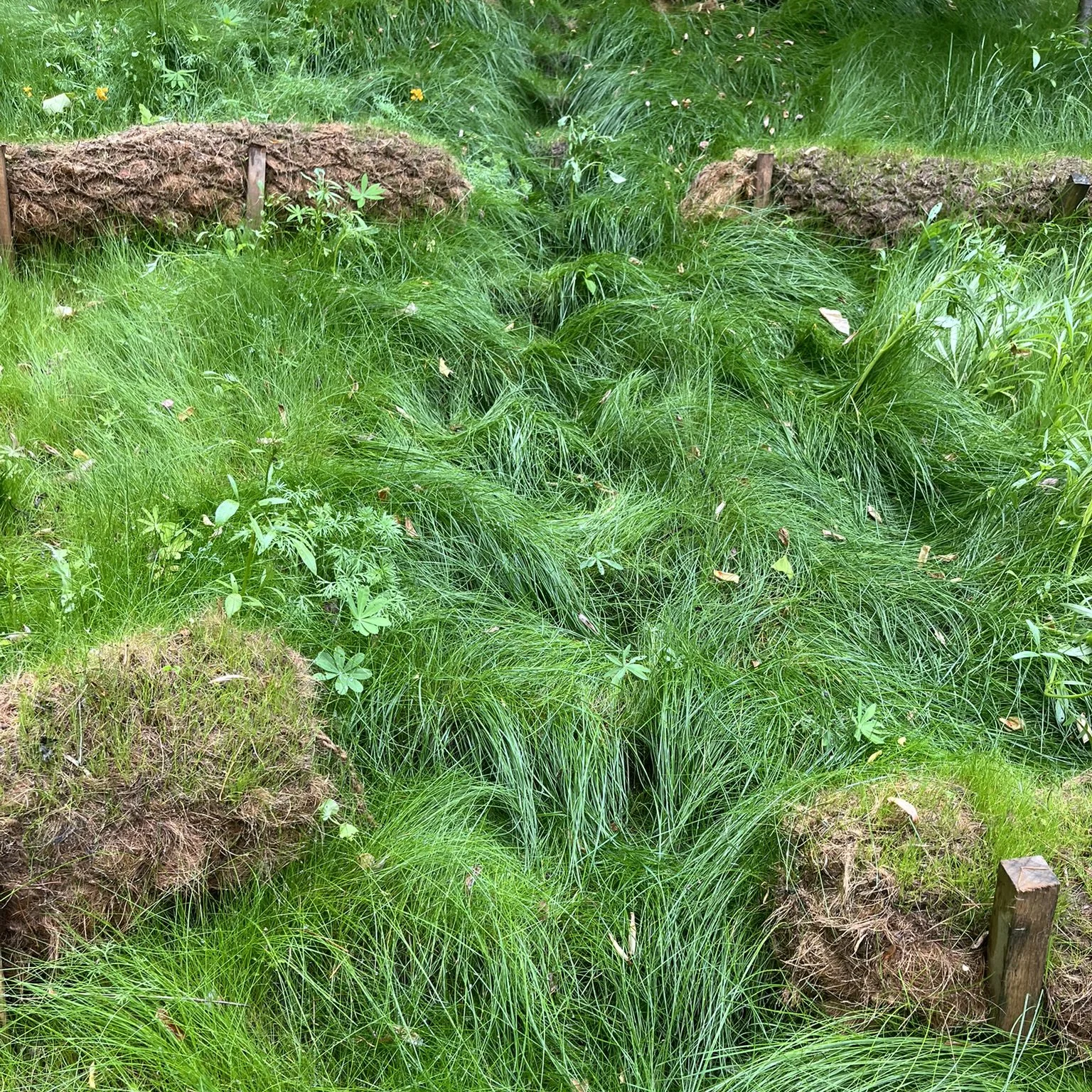 erosion control square 2.jpg