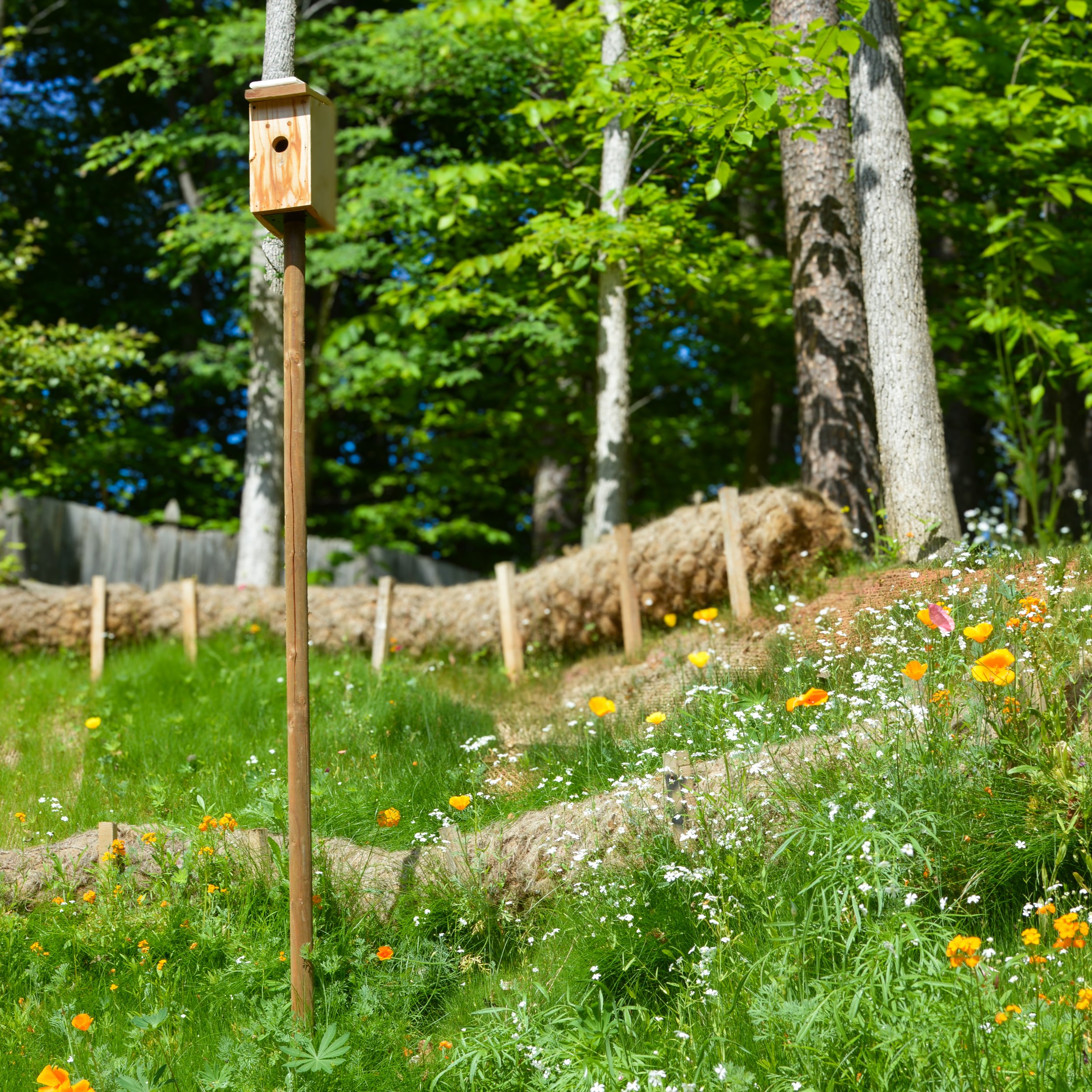 Sustainable Design.jpg