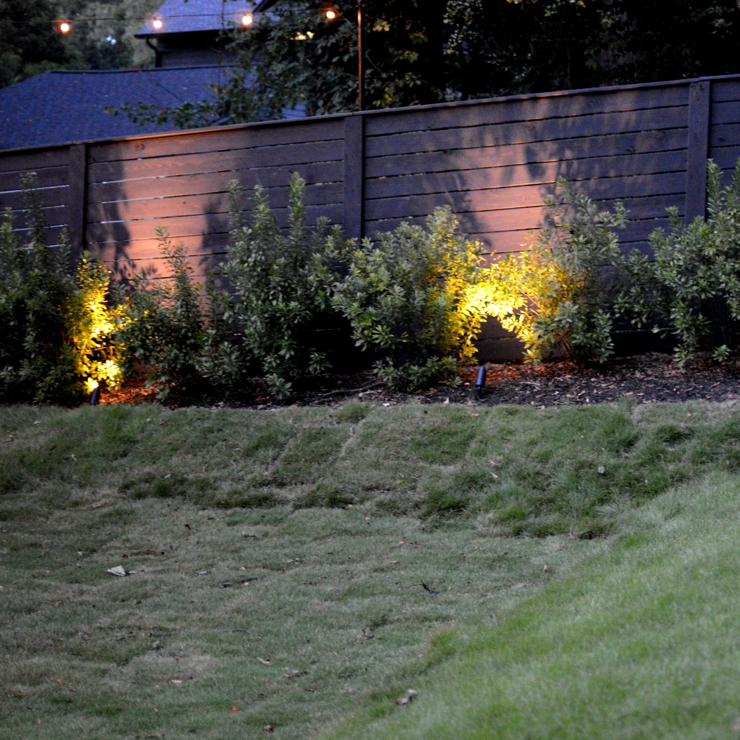 Lighting on shrubs.jpg