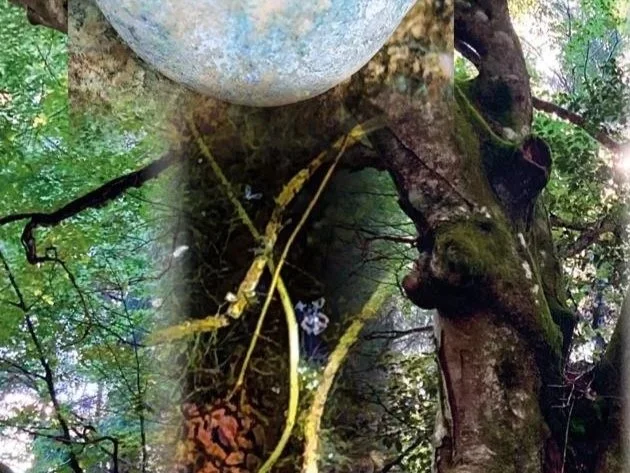 "Le labo dans la forêt humaine"