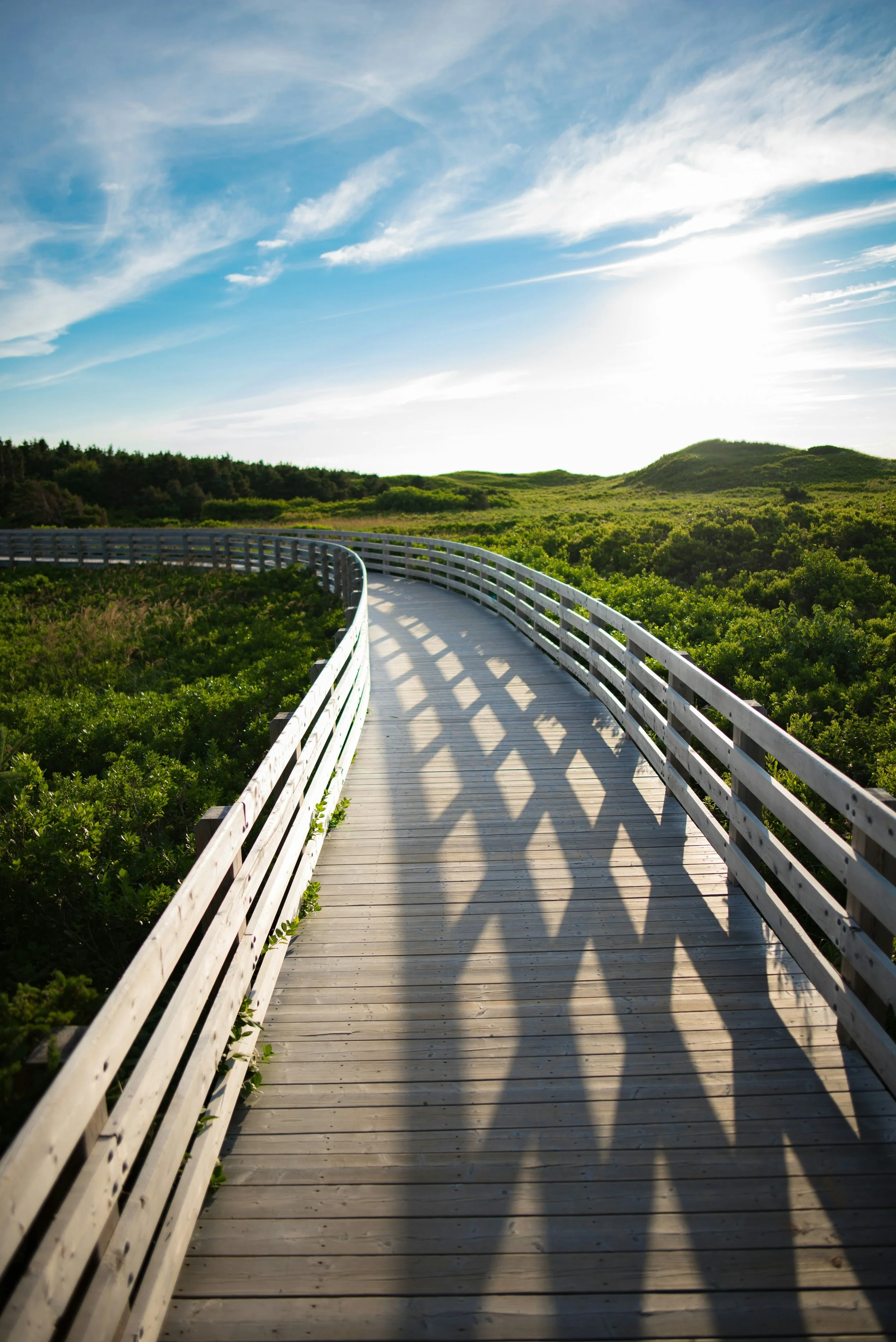 A wooden boardwalk with white railings casting shadows on the walkway, winding through lush green vegetation with rolling hills under a bright blue sky with wispy clouds and the sun shining brightly.