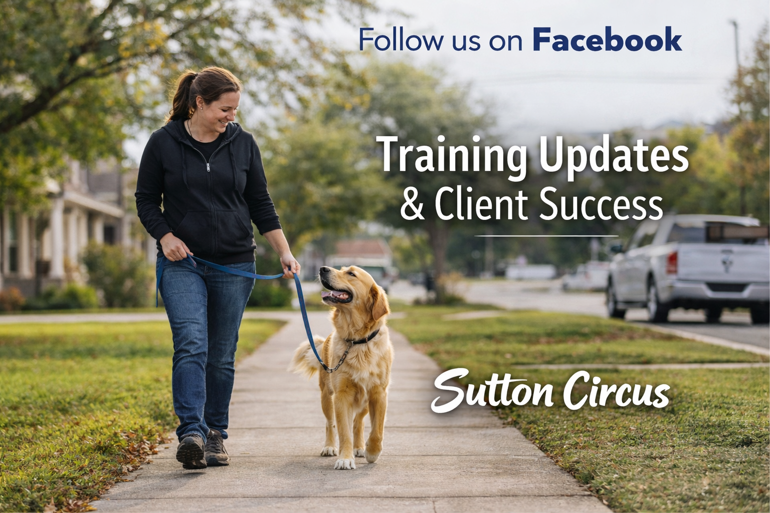 A woman walking a golden retriever dog on a sidewalk in a suburban neighborhood during daytime, with trees and parked cars in the background, and overlay text promoting Sutton Circus's training updates and client success on Facebook.