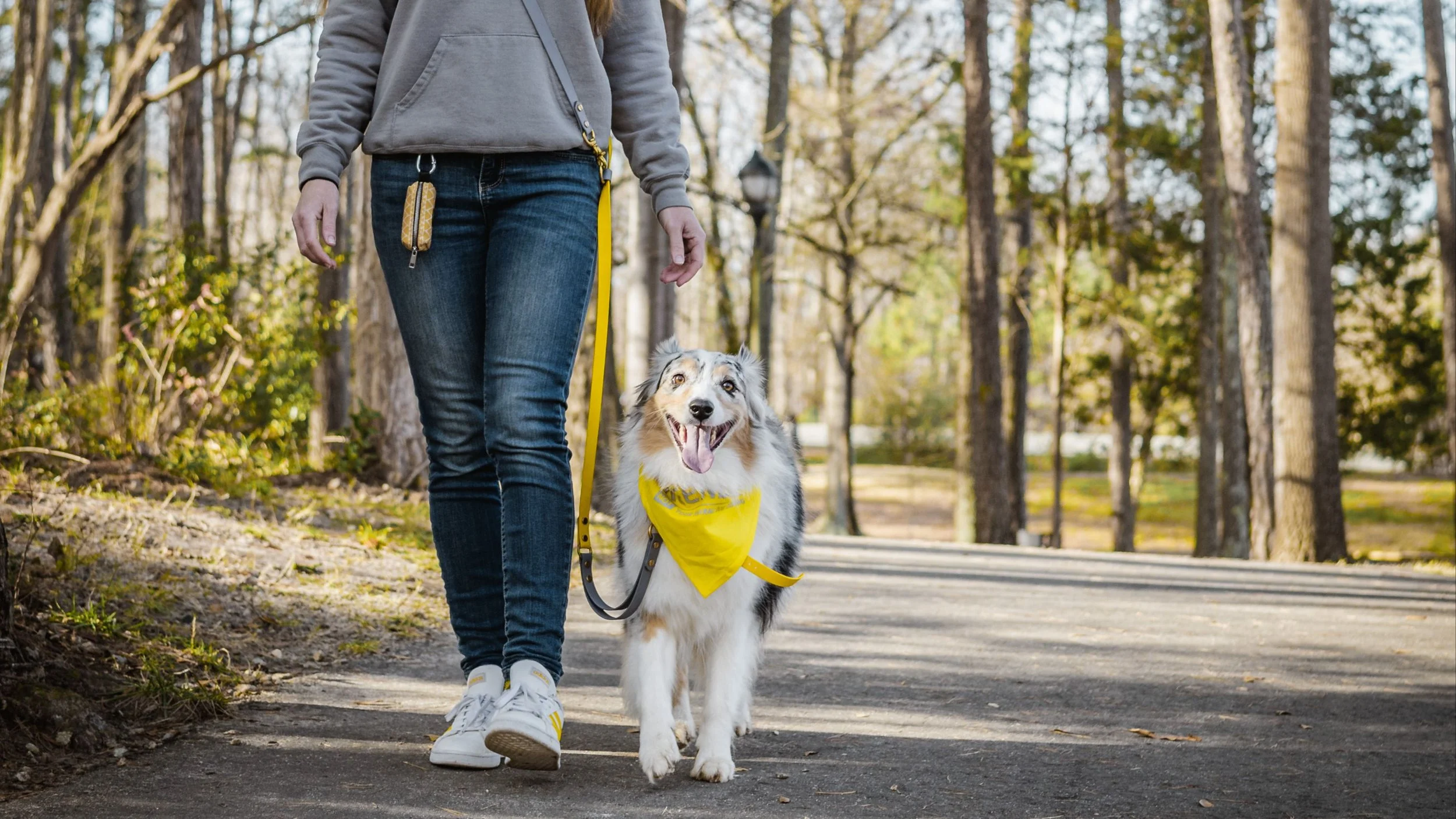 Why Your Dog Listens Perfectly to the Trainer—But Falls Apart With You