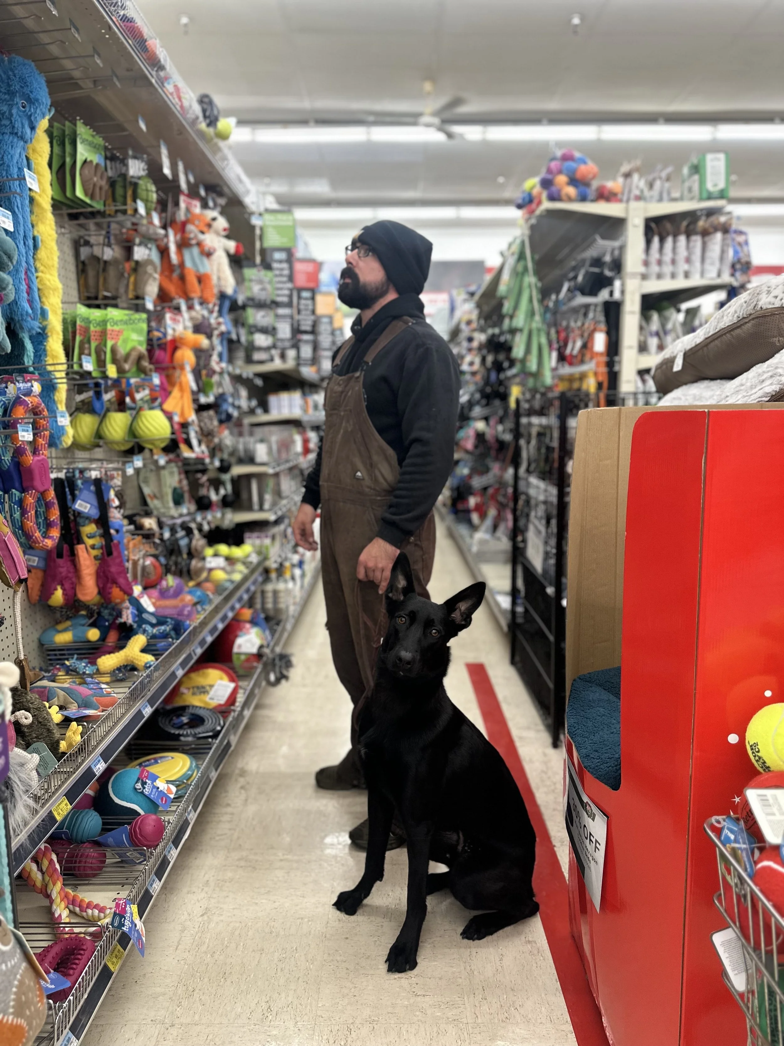 2 Week Board & Train