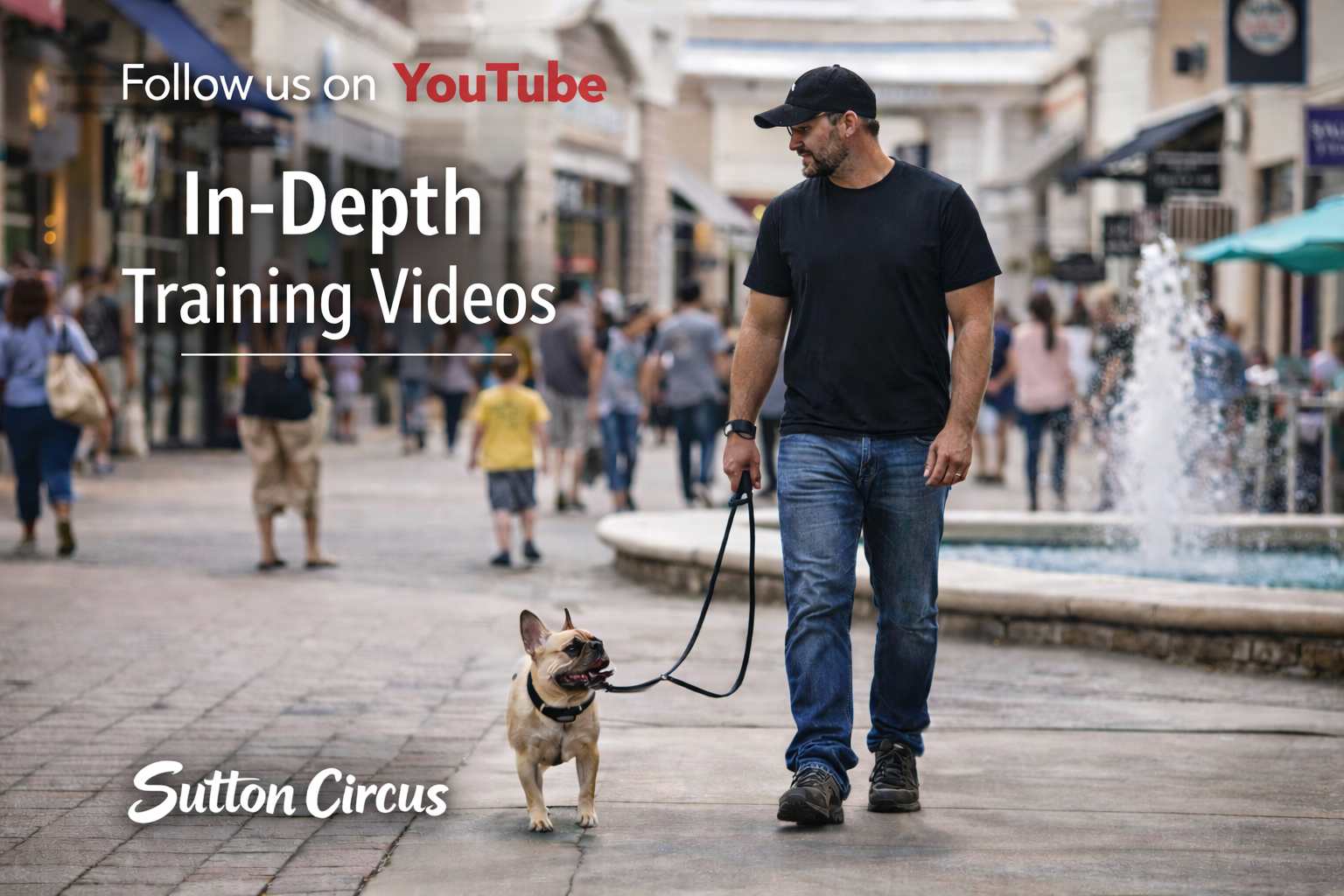 Man walking a French Bulldog on a busy city street with shops and people in the background.
