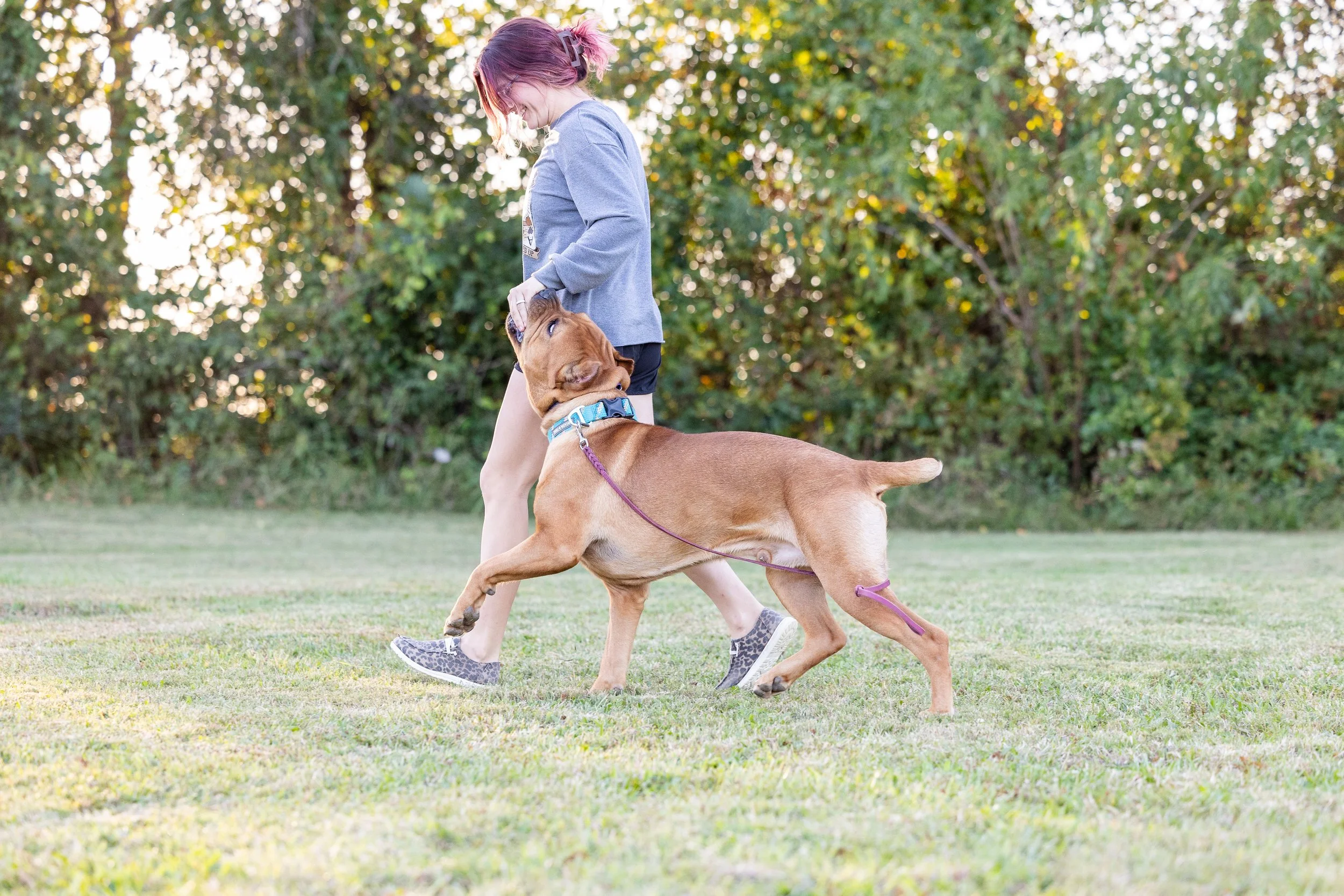 Basic Private Lessons