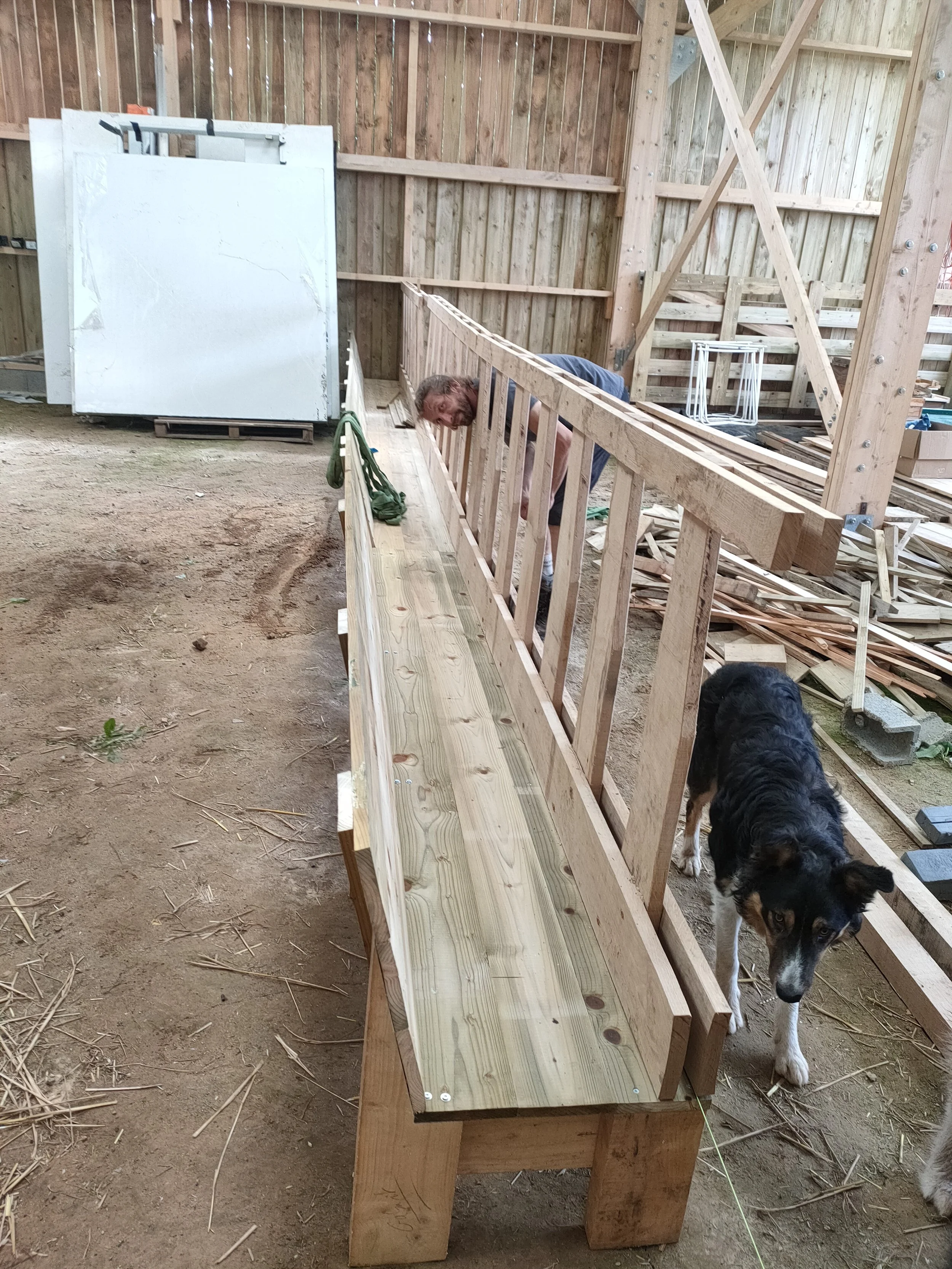 Un homme construit un cornadis en bois à l'intérieur d'un atelier, avec un chien à ses côtés.