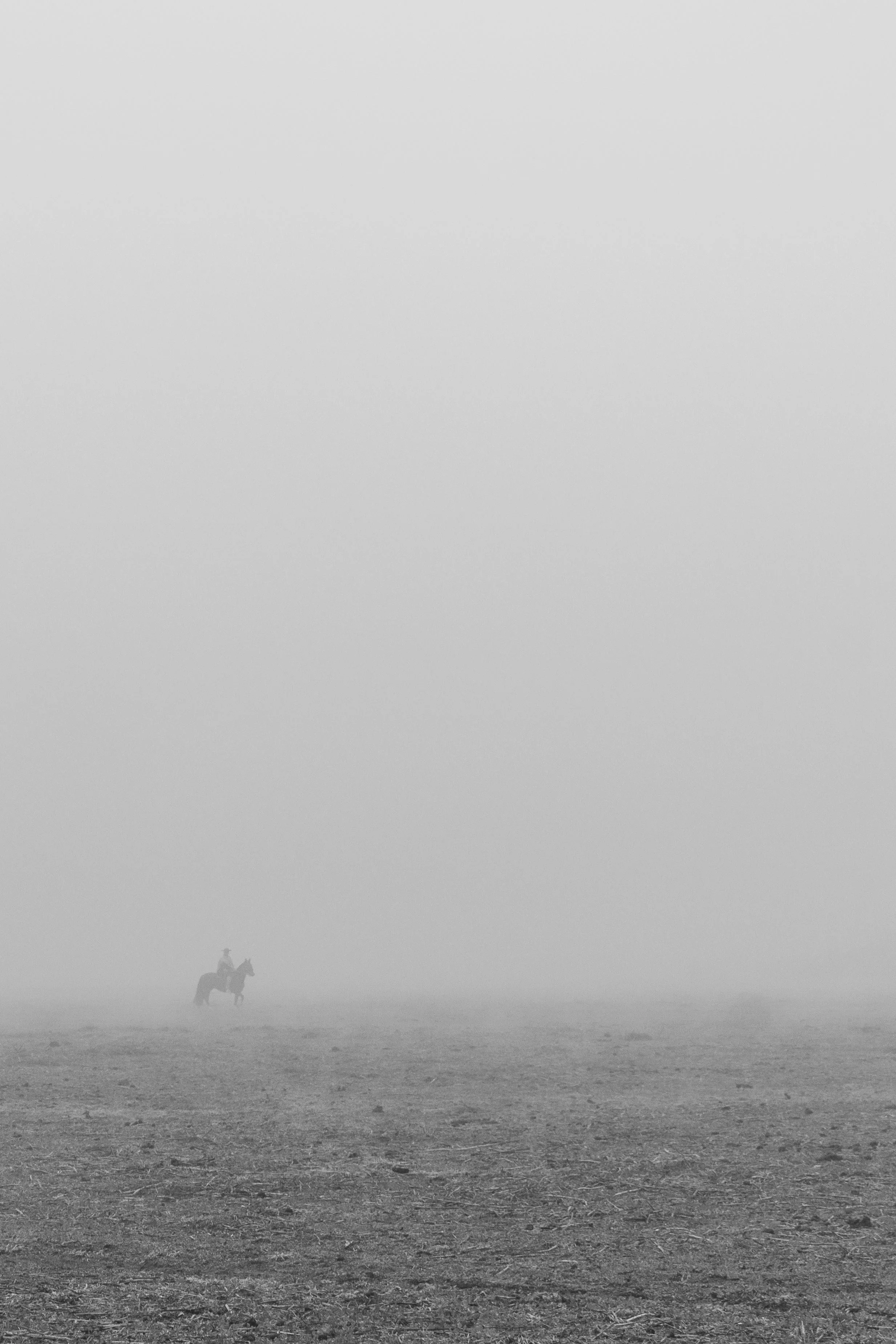 Caballos pastando en la laguna Aculeo · 10